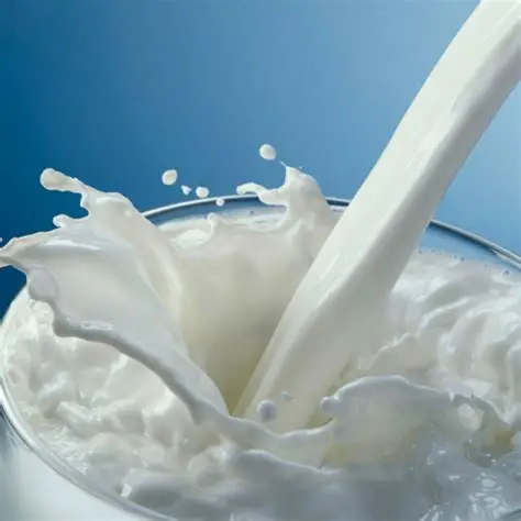Milk